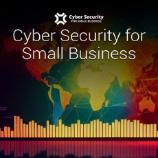 Cyber Incident Response for SMEs